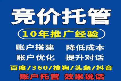 百度推广运营实战技巧：案例教学与实战演练